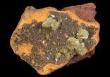 Gemmy, Yellow-Green Adamite Crystals - Durango, Mexico #65291-2